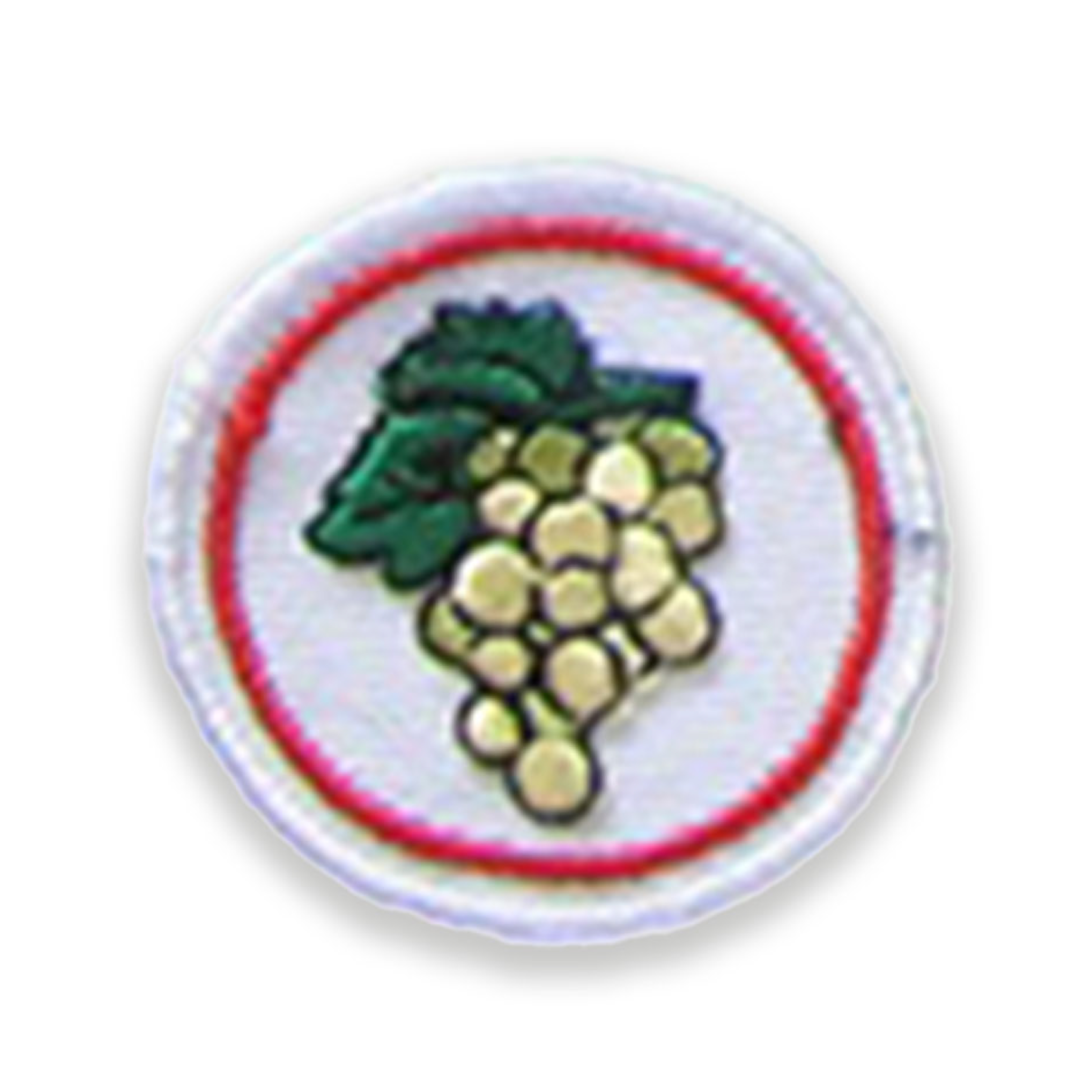 Grapes